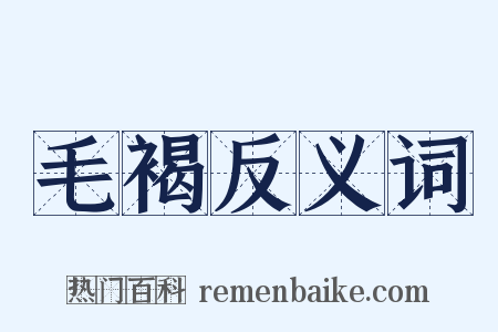 毛褐反义词是什么意思的图片